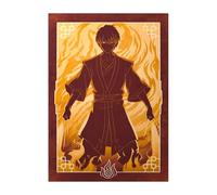 Displate Officiel Avatar: The Last Airbender Métallique Fixation Magnétique Licence Officielle Image Affiche de Haute Qualité Elements - Prince Zuko Fire Nation hauteur 45 cm largeur 32 cm.