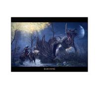 Displate Officiel Elden Ring Métallique Fixation Magnétique Licence Officielle Image Affiche de Haute Qualité Flying Dragon Agheel hauteur 67,5 cm largeur 48 cm