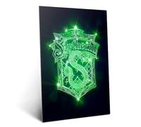 Displate Officiel Harry Potter Métallique Fixation Magnétique Licence Officielle Image Affiche de Haute Qualité Neon House Crests - Slytherin Neon Crest - Größe M - hauteur 45 cm largeur 32 cm.