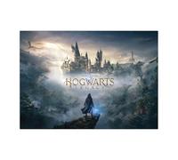 Displate Officiel Harry Potter Métallique Fixation Magnétique Licence Officielle Image Affiche de Haute Qualité Hogwarts Legacy - Hogwarts Legacy Castle - Größe M - hauteur 45 cm largeur 32 cm.
