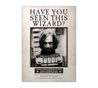 Displate Officiel Harry Potter Métallique Fixation Magnétique Licence Officielle Image Affiche de Haute Qualité Letters and Posters - Have you seen this wizard? - Größe M - 32x45cm Matt