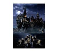 Displate Officiel Harry Potter Métallique Fixation Magnétique Licence Officielle Image Affiche de Haute Qualité Sorcerer's Stone Movie Posters - Hogwarts boats - Größe M - hauteur 45 cm largeur 32 cm.