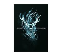 Displate Officiel Harry Potter Métallique Fixation Magnétique Licence Officielle Image Affiche de Haute Qualité Wand Magic - Expecto Patronum - Größe M - hauteur 45 cm largeur 32 cm.