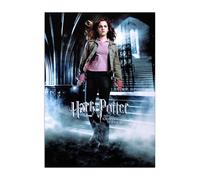 Displate Officiel Harry Potter Métallique Fixation Magnétique Licence Officielle Image Affiche de Haute Qualité Goblet of Fire Movie Posters - HP4 Hermione Granger hauteur 67,5 cm largeur 48 cm