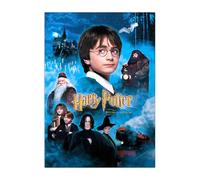 Displate Officiel Harry Potter Métallique Fixation Magnétique Licence Officielle Image Affiche de Haute Qualité Sorcerer's Stone Movie Posters - Der Stein der Weisen - Größe M - 32x45cm Matt