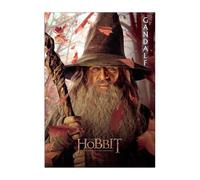 Displate Officiel Hobbit Métallique Fixation Magnétique Licence Officielle Image Affiche de Haute Qualité The Hobbit: An Unexpected Journey - H1 Gandalf The Grey - Größe M - 32x45cm Matt