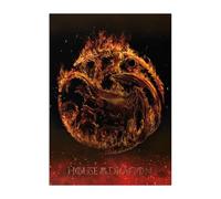 Displate Officiel House of the Dragon Métallique Fixation Magnétique Licence Officielle Image Affiche de Haute Qualité Key Arts - Targaryen House Sigil hauteur 67,5 cm largeur 48 cm