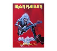 Displate Officiel Ironmaiden Métallique Fixation Magnétique Licence Officielle Image Affiche de Haute Qualité Fear of the Dark hauteur 67,5 cm largeur 48 cm