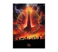 Displate Officiel Lord of the Rings Métallique Fixation Magnétique Licence Officielle Image Affiche de Haute Qualité One to Rule Them All hauteur 45 cm largeur 32 cm.