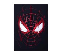Displate Officiel Marvel Poster Métallique Fixation Magnétique Licence Officielle Image Affiche de Haute Qualité Miles Morales Game - Mask 32x45cm - Matt