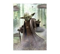 Displate Officiel Star Wars Poster Métallique Fixation Magnétique Licence Officielle Image Affiche de Haute Qualité Yoda hauteur 67,5 cm largeur 48 cm