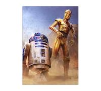 Displate Officiel Star Wars Poster Métallique Fixation Magnétique Licence Officielle Image Affiche de Haute Qualité Droids 32x45cm
