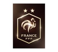 Displate - Poster en Métal - Fédération Française de Football - L'équipe de France - FFF Crest France FFF brown hauteur 45 cm largeur 32 cm.