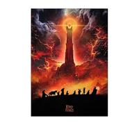 Displate - Poster en Métal - Middle Earth - Lord of the Rings Alternative Posters - Fellowship of the Ring hauteur 45 cm largeur 32 cm.