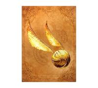 Displate - Poster en Métal - Wizarding World - Quidditch Equipment - Golden Snitch hauteur 67,5 cm largeur 48 cm