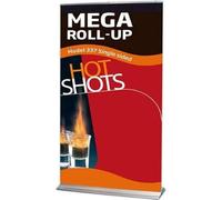 DisplayLager Mega Roll-up unilatéral - 120 x 250 cm - Argenté - Idéal pour équipement d'exposition - Dimensions : 123 x 260 cm