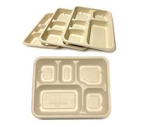 DISPOSABLE GREEN® | 28 cm x 22 cm | Assiette rectangulaire avec 5 compartiments | 25 pièces | Super solide | Bagasse de canne à sucre non blanchie | Maison compostable, biodégradable