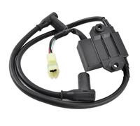 Dispositif D'allumage Bobine Allumage Bobine D'allumage Pour Ski-doo Pour Alpine II Pour Formule Pour MXZ 440 583 670 S SL