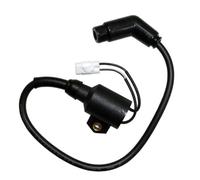 Dispositif D'allumage Bobine Allumage pour Polaris 300 pour Hawkeye 300 2X4 2006 2007 4X4 2006 2007 2008 2009 2010 2011 Bobine d'allumage 3089860 3089910