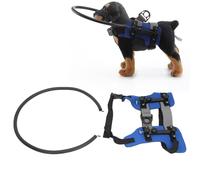 Dispositif de Guidage de Harnais pour Chien Aveugle, Anneau Anti-Collision pour Chien Aveugle, Fixation Facile, Harnais D'anneau pour Chien Aveugle Robuste et Réglable pour (M)