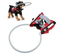 Dispositif de Guidage de Harnais pour Chien Aveugle, Halo de Protection Réfléchissant et Réglable pour Animaux de Compagnie, Crée la Confiance, Portable pour Les Chiots (S Diamètre