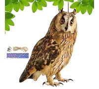 Dispositif de protection des oiseaux, un pendentif décoratif coupable