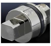 Dispositif de verouillage carré 7 mm Rittal 2460.000 Fonte
