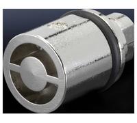 Dispositif de verouillage Daimler Rittal 2465.000 Fonte