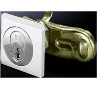 Dispositif de verouillage fermeture de sécurité Rittal 2540.500 Polyamide multicolore 1 pc(s)