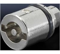 Dispositif de verouillage panneton double Rittal 2466.000 Fonte 1 pc(s)