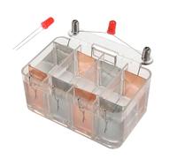 Dispositif Éducatif D'expérimentation Scientifique Sur Batterie À Eau Salée Pour Les Laboratoires En Classe Démontrant Une Expérience Sur Le Projet De Batterie Fruits Production D'énergie