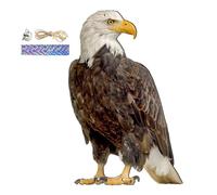 Dispositifs pour éloigner | Pendentif épouvantail Hibou 2D Pour La Protection Du Jardin,Dispositif Épouvantail Faux Décoratif Et Imperméable, Chouette Faux Réaliste Qui Tien