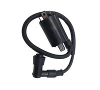 Dispositivi Accensione pour Virago XV125 XV250 V Star Route 66 YP250 VOG pour KEEWAY pour Cruiser pour Vento V-Thunder ATV Quad Moto LH250 YP250 Bobine D'allumage Motore Bobina Accensione