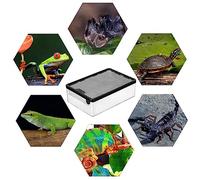 DISPRA Vivarium transparent pour reptiles - Anti-fuite - Respirant - Cage de ventilation pour escargots - Terrarium - Pour coléoptères, lézards, araignées et scorpions