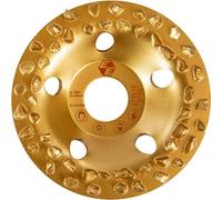 Disque à fraiser en métal dur, grossier Ø 100mm Eibenstock, 37131000
