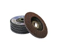 Lot 5 disques à lamelles BGS TECHNIC 125 mm pour meuleuse - Grain 40