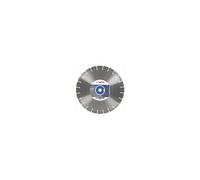 Disque à Tronçonner Diamanté Expert For Stone (350 X 20,00+25,40 X 3,2 X 12 Mm)