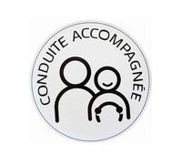 Disque conduite accompagnee electrostatique