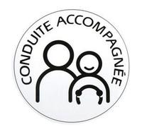 Disque Conduite Accompagnee Magnetique