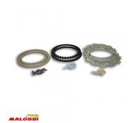 Disque D Embrayage Malossi Pour Scooter Piaggio 350 Beverly Après 2013 5215609 Neuf