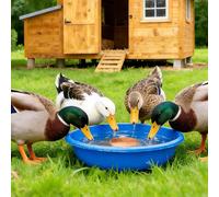 Disque de Bain d'oiseaux en Cuivre | Disque de Purification d'eau de 10 Centimètres | Decoration De De Bain | pour Extérieur, Jardin, Terrasse, Pelouse, Bassin de Fontaine, Élevage, Poulailler