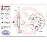 Disque de frein BREMBO XTRA LINE BREMBO 09.8695.1X, 1 Pièce