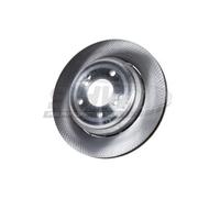 Disque de frein SHW BRL48011 arrière, ventilé, à haute teneur en carbone, 1 pièce