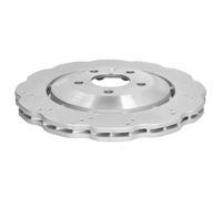 Disque de frein SHW Performance ARX48231 arrière, ventilé, à haute teneur en carbone, 1 pièce