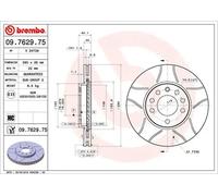 Disque de frein ventilé de l'intérieur 09.7629.75 BREMBO pour OPEL CHEVROLET