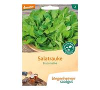 Disque de graines de roquette Ruca - Eruca sativa