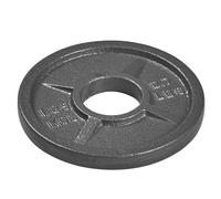 Tanga Sports Disque de musculation en fonte Gris TU