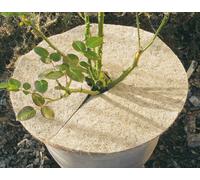 Disque de paillage en coco D:45cm, naturel (1 pièce)