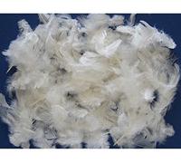 Disque - Disques - Derniers - 5 g de plumes blanches duveteuses pour travaux manuels