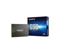 Gigabyte GP-GSTFS31100TNTD